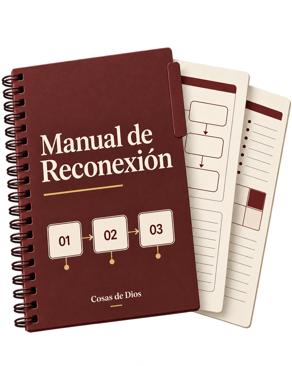 Portada de Manual de Reconexión